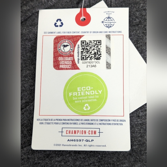 Iowa Hawkeyes Champion University of Iowa Gray T Shirt Men's Size Large NWT - Picture 8 of 9